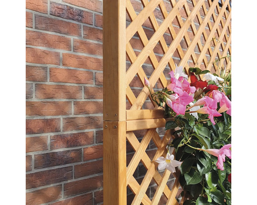 Holzspalier mit blühenden Pflanzen vor einer Backsteinmauer