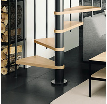 Raumansicht mit Wendeltreppe aus Holz und Metall