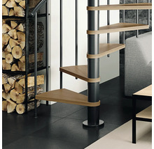 Raumszene mit Wendeltreppe, Holzregal und Brennholz