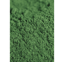 Nahaufnahme von Spirulinapulver