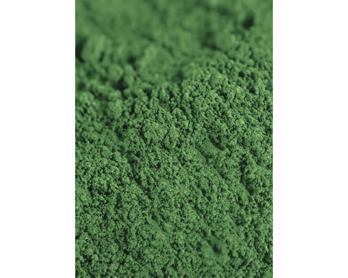 Nahaufnahme von Spirulinapulver