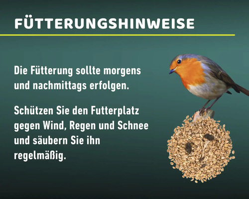 Fütterungshinweise mit Rotkehlchen auf Futterstelle.