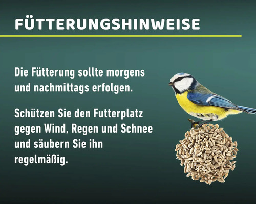 Hinweise zur Vogelfütterung: morgens und nachmittags füttern, Futterplatz schützen und regelmäßig säubern.