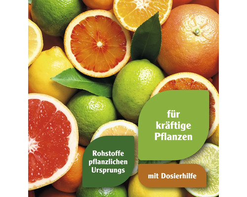 Früchte wie Zitrone, Orange, Limette und Grapefruit