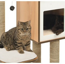 Katzen auf einem Kratzbaum mit Sisalstämmen und Schlafhöhle