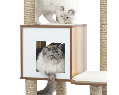 Katzenkratzbaum mit Plattformen, Kratzsäulen und Katzenhaus mit zwei Katzen