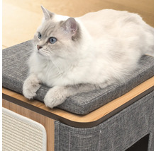 Katze liegt auf einem Katzenmöbel mit Kratzbrett