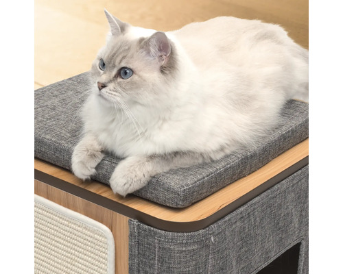 Katze liegt auf einem Katzenmöbel mit Kratzbrett