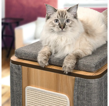 Katze auf einem Katzenmöbel mit Kratzbrett und Sitzkissen