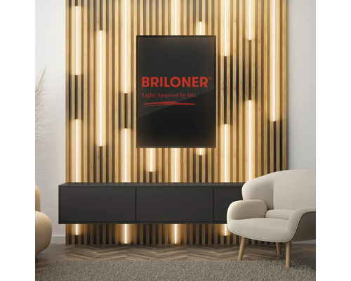 Wohnzimmer mit Holzpaneelwand, beleuchtetem TV-Board und Briloner Logo.