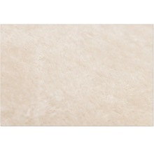 Schmutzmatte beeztees Nano Canvas Sleeper Cush 109 x 69 cm beige Mikrofaser, Microfaser