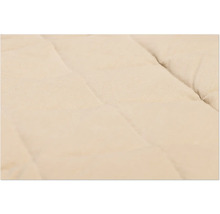 Schmutzmatte beeztees Nano Canvas Sleeper Cush 121 x 78 cm beige Mikrofaser, Microfaser