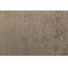 Schmutzmatte beeztees Nano Canvas Sleeper Grau 49 x 36 cm grau Mikrofaser, Microfaser
