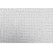 Schmutzmatte Dirty Dog Türmatte Knochen78 x 51 cm grau Mikrofaser, Microfaser