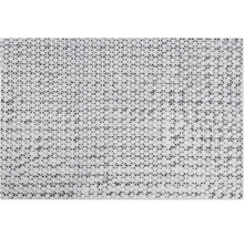 Schmutzmatte Dirty Dog Türmatte Pfote90 x 66 cm schwarz Mikrofaser, Microfaser