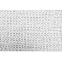 Schmutzmatte Dirty Dog Türmatte Knochen90 x 66 cm grau Mikrofaser, Microfaser