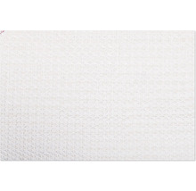 Schmutzmatte Dirty Dog Türmatte Knochne90 x 66 cm beige Mikrofaser, Microfaser