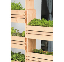 Hochbeet aus Holz mit Salat und Kräutern