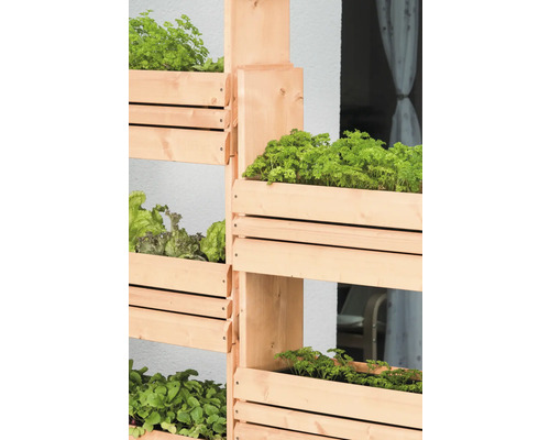 Hochbeet aus Holz mit Salat und Kräutern
