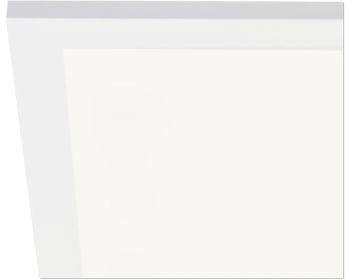 Ausschnitt einer Platte