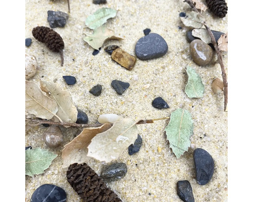 Sand mit Steinen, Blättern, Ästen und Zapfen.