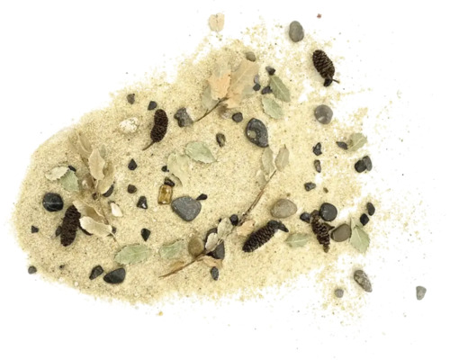 Sand mit Blättern, Steinen und Tannenzapfen