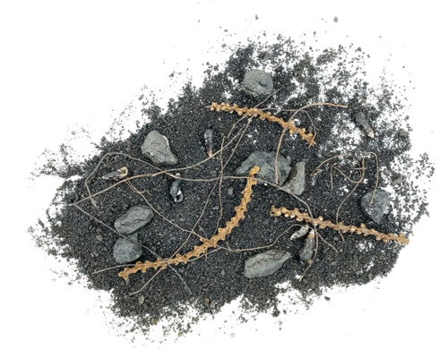 Haufen aus Erde mit Steinen und Wurzeln