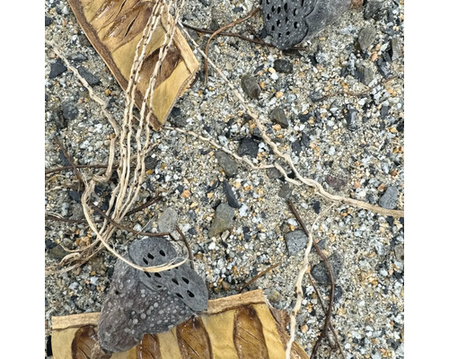 Nahaufnahme von Kies mit Blättern und Ästen