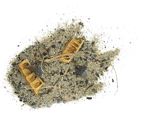 Darstellung von Kies, Steinen, Zweigen, Pflanzensamen und Pflanzenhülsen