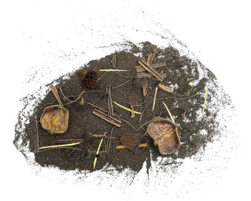 Erde mit Pflanzenresten