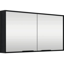 Spiegelschrank mit zwei Türen