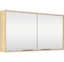 Spiegelschrank mit zwei Türen und Holzrahmen