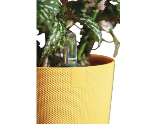 Blumentopf mit Pflanze und Wasserstandsanzeiger