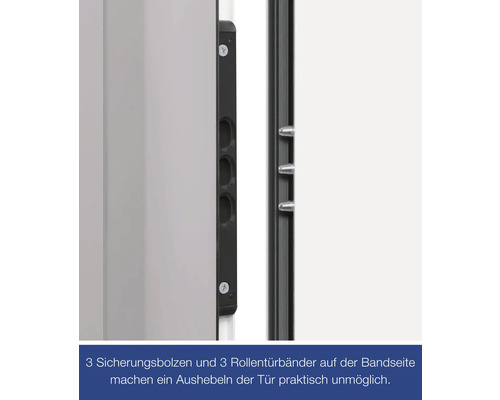 Detailansicht einer Tür mit drei Sicherungsbolzen und drei Rollentürbändern zur Erhöhung der Sicherheit