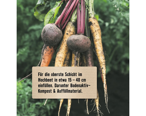 Bündel verschiedener frisch geernteter Gemüsesorten