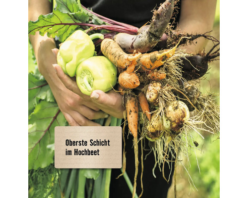 Eine Person hält Gemüse wie Paprika, Karotten und Zwiebeln in den Händen