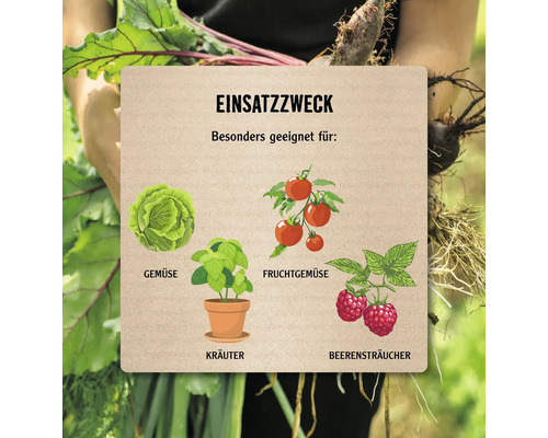 Illustration verschiedener Gemüsesorten wie Gemüse, Kräuter, Fruchtgemüse und Beerensträucher für den Garten