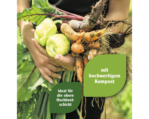 Person hält frisch geerntetes Gemüse wie Paprika, Karotten und Rote Bete