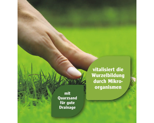 Nahaufnahme einer Hand auf Rasen, die auf die Vorteile von Quarzsand für gute Drainage und vitalisierte Wurzelbildung durch Mikroorganismen hinweist