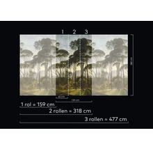 Abmessungen der Wald-Fototapete mit Bäumen