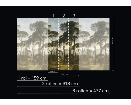 Abmessungen der Wald-Fototapete mit Bäumen