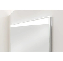 LED Badspiegel FACKELMANN MIRRORS 110 x 70 cm alufarben 84576