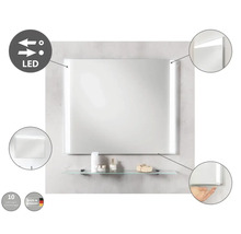 LED Badspiegel FACKELMANN MIRRORS 110 x 70 cm alufarben 84576