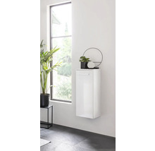 Modernes Badezimmer mit hochglänzendem Hängeschrank, Pflanze und Spiegel