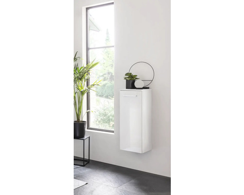 Modernes Badezimmer mit hochglänzendem Hängeschrank, Pflanze und Spiegel