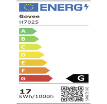 Govee Energielabel H7025