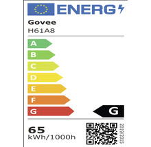 Govee Energieeffizienzlabel H61A8