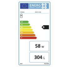 Strebel Energieetikett DSFF/E 300 mit Energieeffizienzklasse B, 58 Watt und 304 Liter.