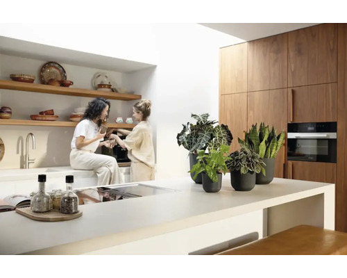 Helle Küche mit Holzelementen, Zimmerpflanzen und zwei Frauen bei der Zubereitung von Kaffee.