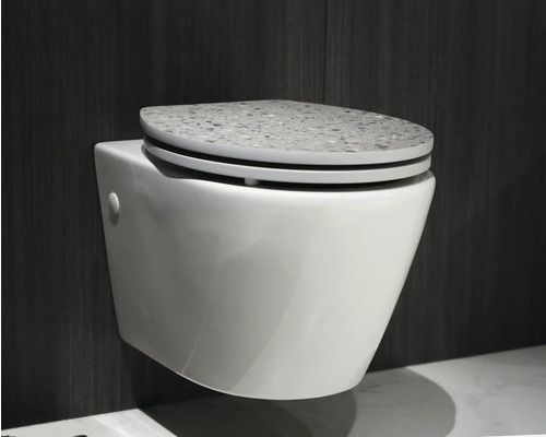 Wandhängendes WC mit Toilettensitz